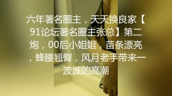 【温柔的小师妹】眼镜男艳福不浅，平胸女优骚气逼人，表情欲仙欲死，爱死这鸡巴插入的快感，嚎叫不断，淫语不堪入耳