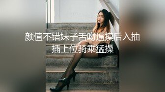 魅惑女仆