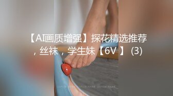 【AI画质增强】探花精选推荐，丝袜，学生妹【6V 】 (3)