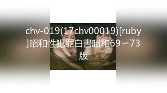 chv-019(17chv00019)[ruby]昭和性犯罪白書昭和69〜73版