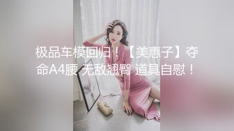 淫荡对白销魂呻吟，推特约炮大咖【夏次健】自传，调教爆肏巨乳肥臀小母狗，无套暴力输出肏到尖叫喊爸爸 (13)