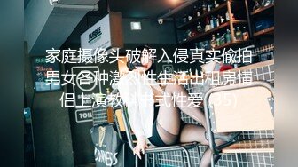 专业摄影师【执义】极品美乳模特，古装风，画面唯美佳人如云，艺术价值不菲强烈推荐！