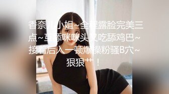 气质的美女脸型和姿势 顶级人工智能 SSS级 都市 美女 丝袜 旗袍 AI无修正 高品质套图