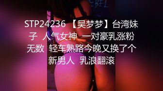 STP24236 【吴梦梦】台湾妹子  人气女神  一对豪乳涨粉无数  轻车熟路今晚又换了个新男人  乳浪翻滚