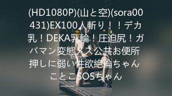 (HD1080P)(山と空)(sora00431)EX100人斬り！！デカ乳！DEKA乳輪！圧迫尻！ガバマン変態メス公共お便所 押しに弱い性欲絶倫ちゃん ことこSOSちゃん