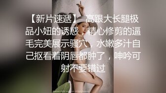 2024年2月新作换妻界的顶流新加坡华裔【爱玩夫妻】这是一场国际性的相遇，来自俄罗斯、台湾的情侣约了我们一起玩一场疯狂的性游戏