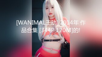 [WANIMAL王动] 2014年 作品合集 [344P 120M]的!