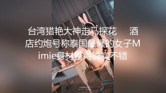 国产AV 葫芦影业 HUL019 旧上海四女子往事3