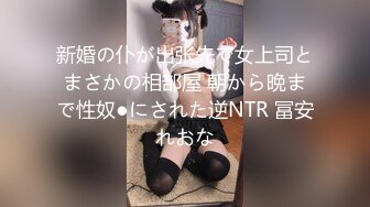 新婚の仆が出张先で女上司とまさかの相部屋 朝から晩まで性奴●にされた逆NTR 冨安れおな