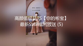 高颜值极品TS【你的彬宝】最新SVIP福利放送 (5)