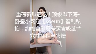 女仆后续2