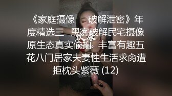 极品美乳丝模私拍视频