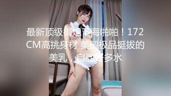 阿朱内部私购 NO.025 女仆与猫