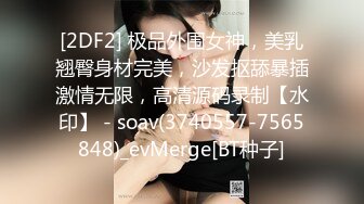 国产AV 蜜桃影像传媒 PM017 车震激干 魔镜号 艾瑞卡