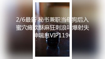 2/6最新 秘书兼职当母狗后入蜜穴瘫软酥麻狂刺浪叫爆射失神喘息VIP1196