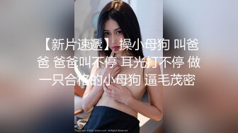 撕破黑丝后入豹纹丁字裤翘臀