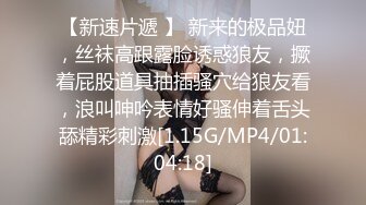 这个狗逼怎么样？