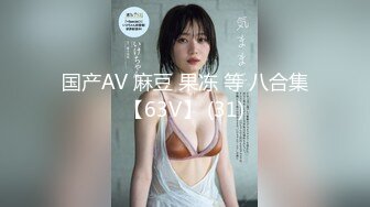 国产AV 麻豆 果冻 等 八合集【63V】 (31)