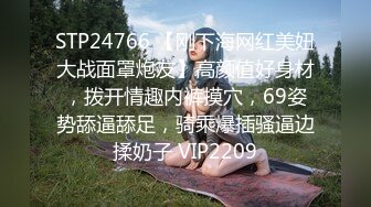 STP24766 【刚下海网红美妞大战面罩炮友】高颜值好身材，拨开情趣内裤摸穴，69姿势舔逼舔足，骑乘爆插骚逼边揉奶子 VIP2209