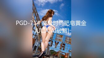 PGD-714 高级时尚肥皂黄金 JULIA[AI破解]