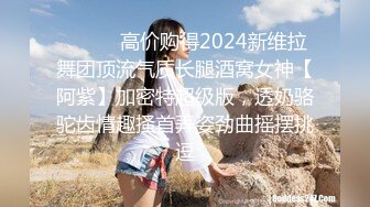 ⚫️⚫️高价购得2024新维拉舞团顶流气质长腿酒窝女神【阿紫】加密特超级版，透奶骆驼齿情趣搔首弄姿劲曲摇摆挑逗