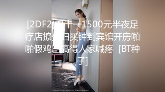 探花小飞3000块约的极品兼职外围