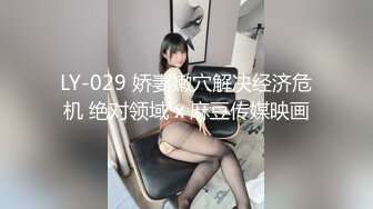 LY-029 娇妻嫩穴解决经济危机 绝对领域 x 麻豆传媒映画