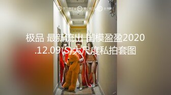 极品 最新流出 国模盈盈2020.12.09(S)大尺度私拍套图