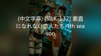 (中文字幕) [SILK-132] 素直になれない恋人たち 4th season