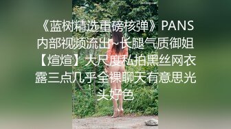 《蓝树精选重磅核弹》PANS内部视频流出~长腿气质御姐【煊煊】大尺度私拍黑丝网衣露三点几乎全裸聊天有意思光头好色