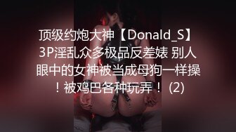 顶级约炮大神【Donald_S】3P淫乱众多极品反差婊 别人眼中的女神被当成母狗一样操！被鸡巴各种玩弄！ (2)