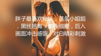 胖子最喜欢嫩妹，苗条小姐姐，黑丝翘臀，美乳细腰，后入画面冲击感强，对白精彩刺激