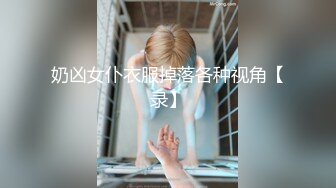 奶凶女仆衣服掉落各种视角【录】