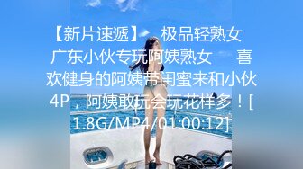 巨乳性爱小精灵下